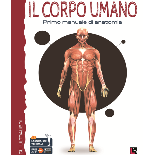 IL CORPO UMANO Primo manuale di Anatomia LISCIANI LIBRI